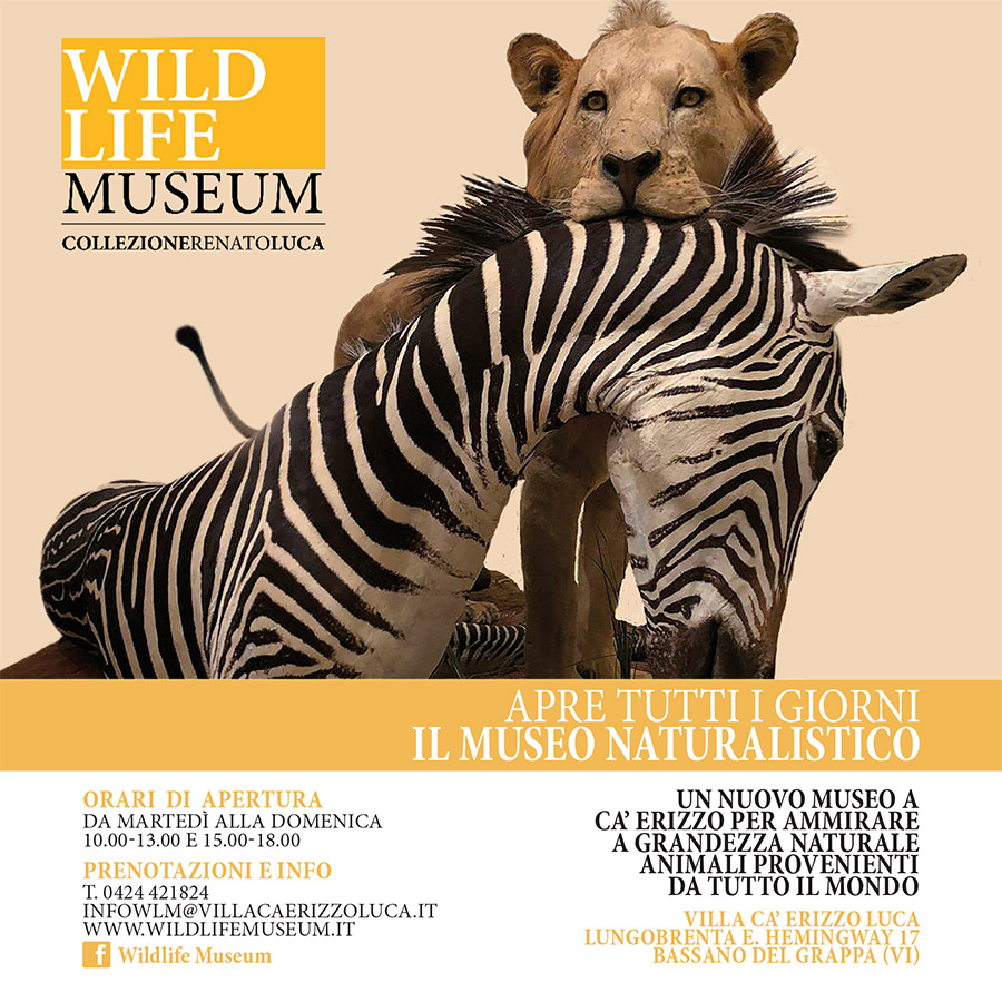 Wild Life Museum | Villa Ca' Erizzo Luca